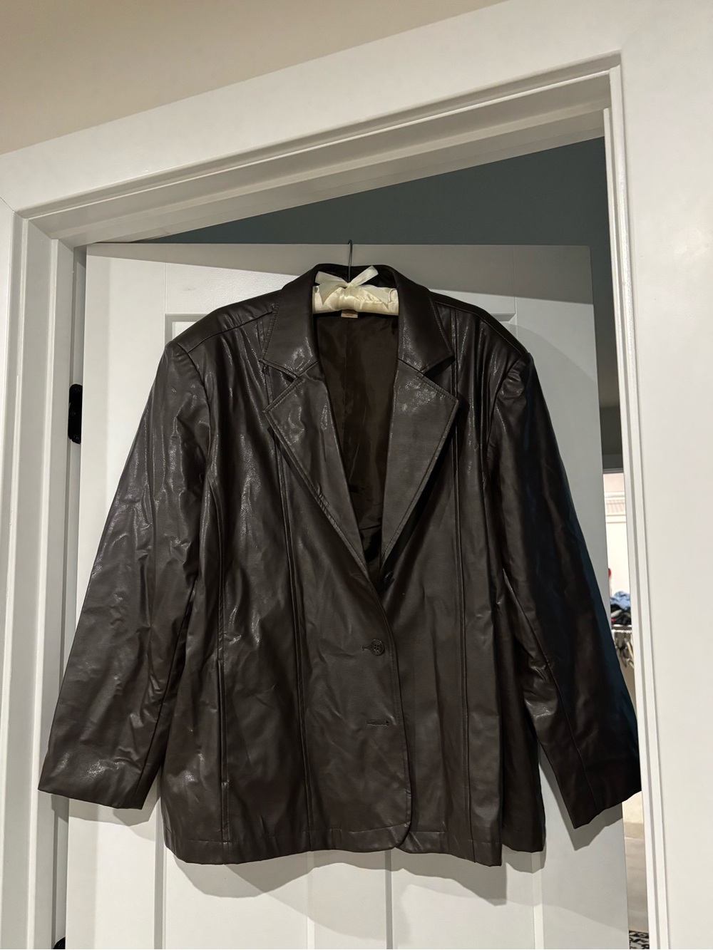 Mountain Lake Dark Brown Leather Blazer Jacket